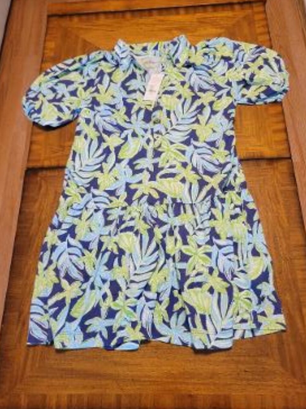 Lilly Pulitzer Bingley Drop Waist Dress - New - Picture 2 of 15